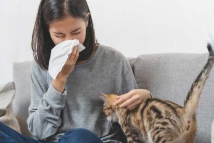 Relieve allergy symptoms with these home tricks
