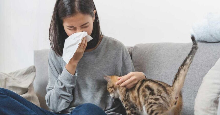 Relieve allergy symptoms with these home tricks